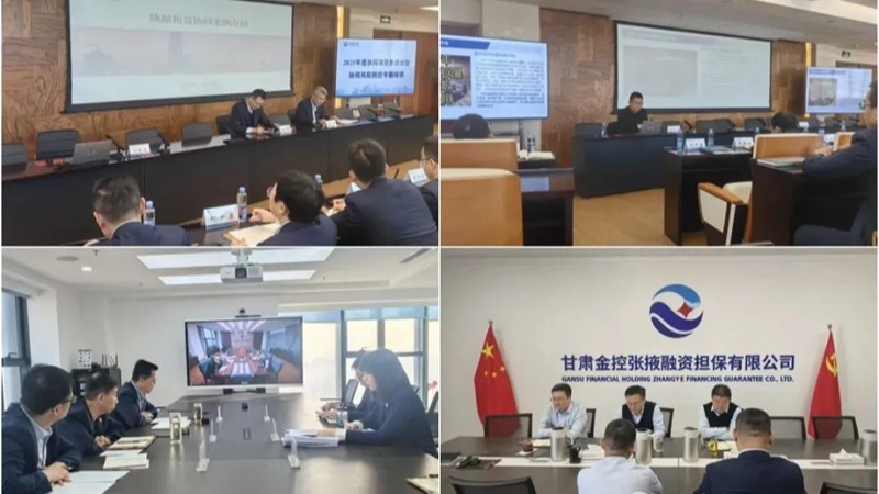  华体会网-华体会体育（中国）
举办2025年度协同项目推进会暨协同风险防控专题培训